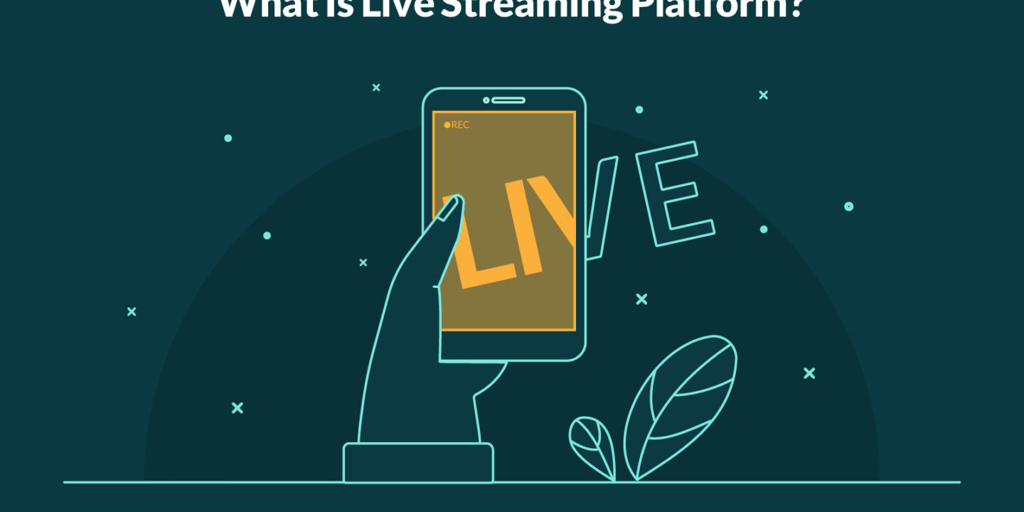 What is Streaming Platform?