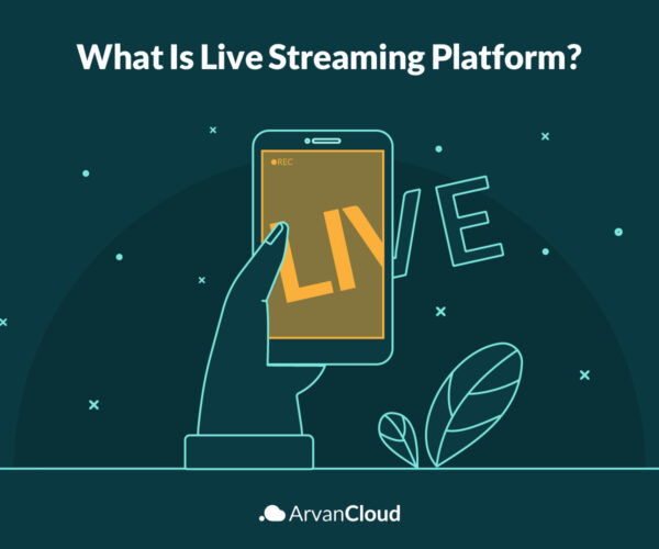 What is Streaming Platform?