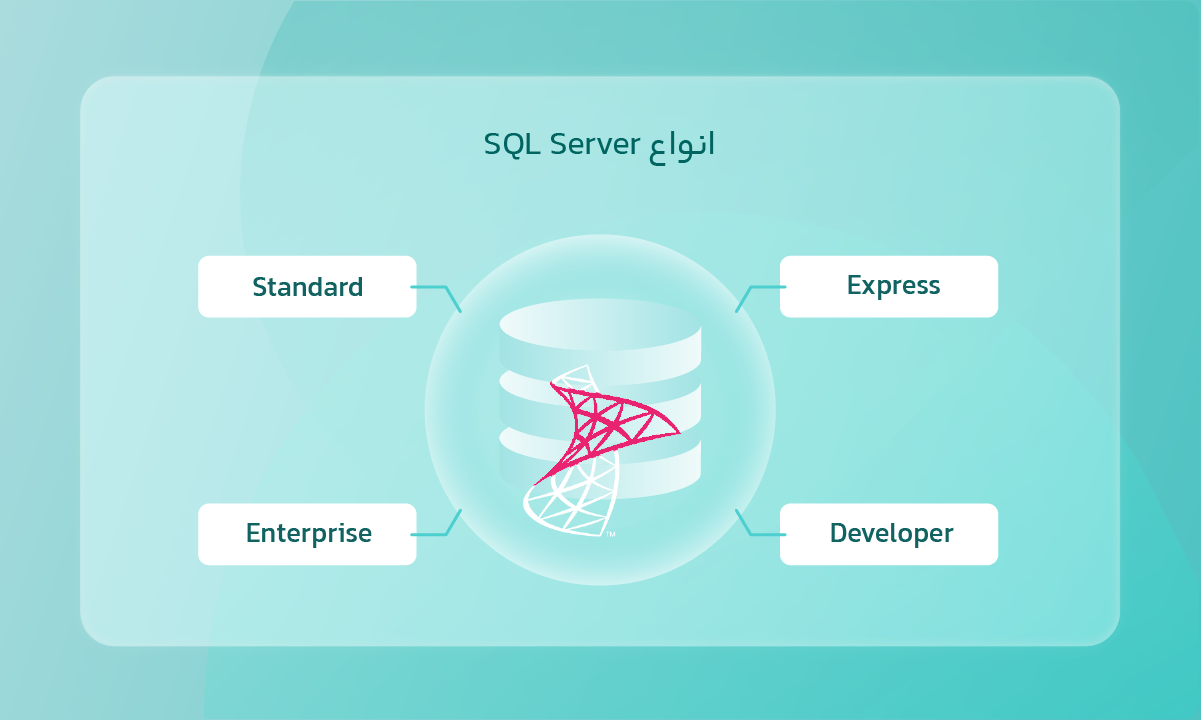 انواع SQL Server