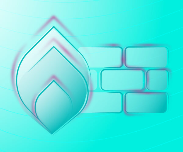 Testing Web Application Firewall
