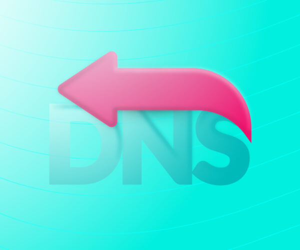Reverse DNS for Network Troubleshooting