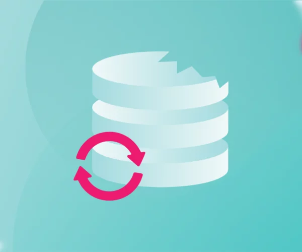 Disaster Recovery چیست