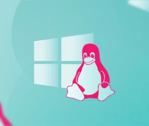 تفاوت سرور لینوکس و ویندوز