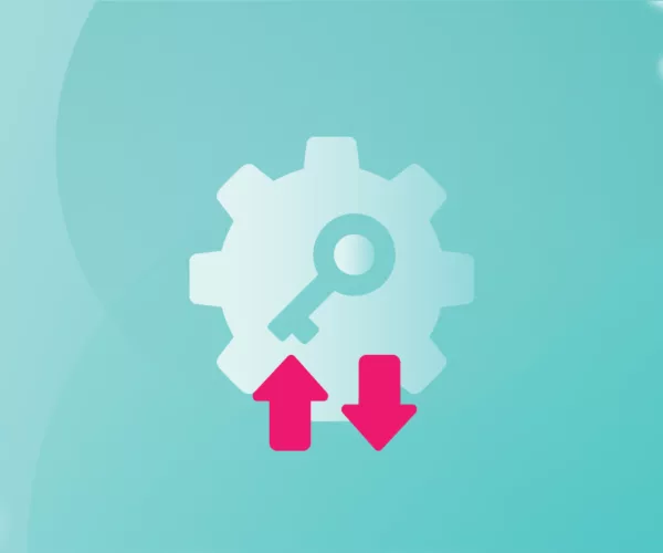 API key چیست