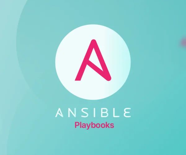 Playbook چیست